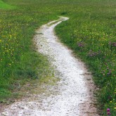 path, field