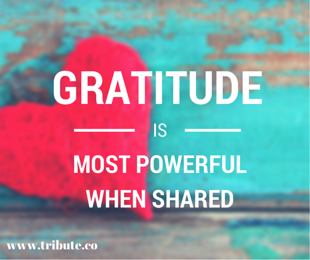 Gratitude is most powerful when Shared